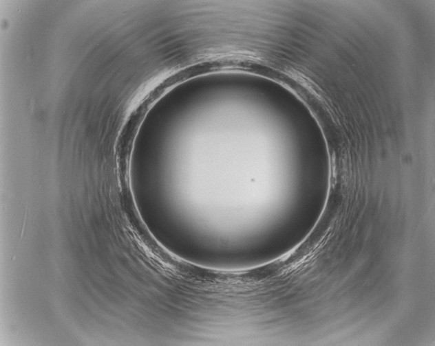 X0000060741022200511141127