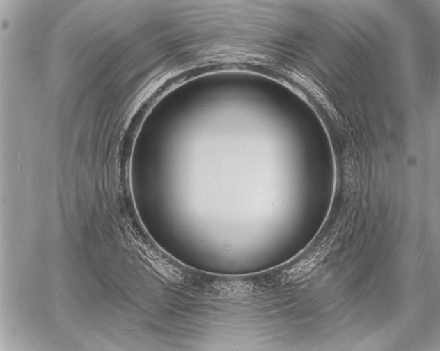 X0000060741023200511141127