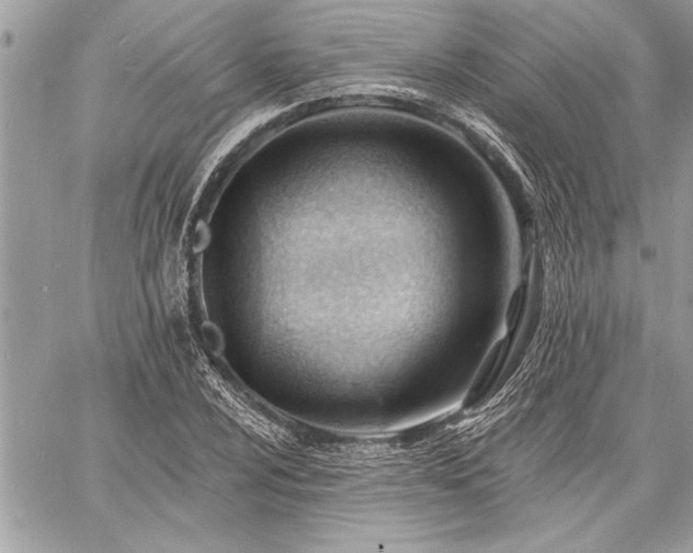 X0000060741024200511141127