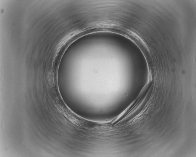 X0000060741027200511141127