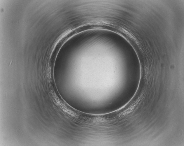 X0000060741029200511141127