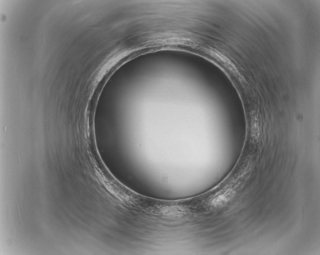 X0000060741031200511141127