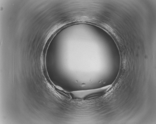 X0000060741032200511141127