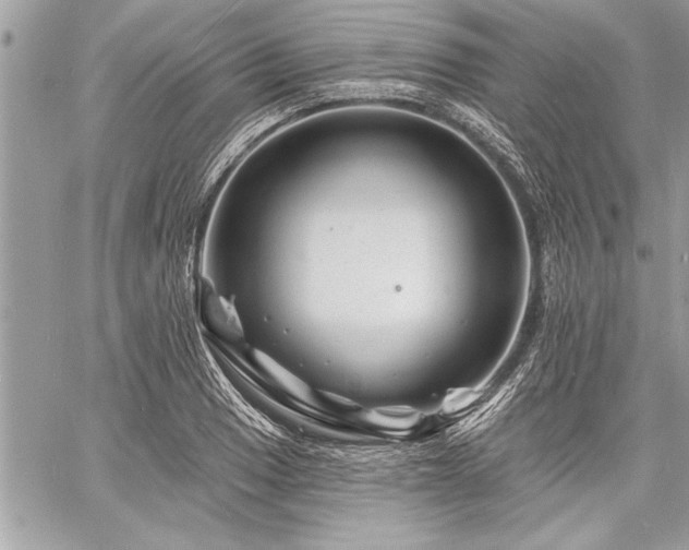 X0000060741033200511141128