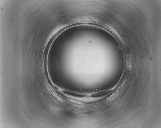 X0000060741035200511141128