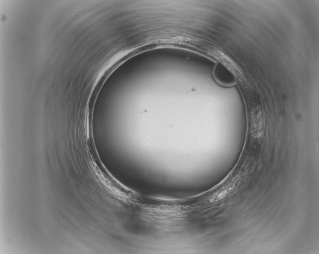 X0000060741036200511141128