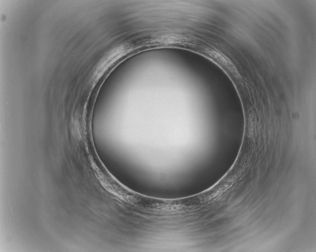 X0000060741039200511141128