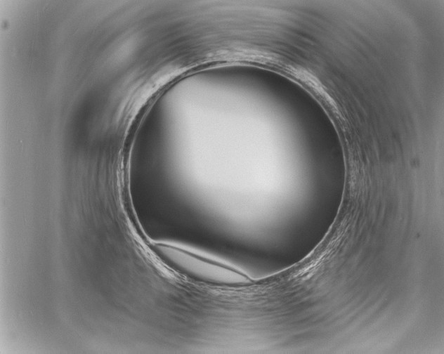 X0000060741040200511141128