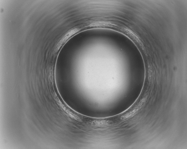 X0000060741041200511141128