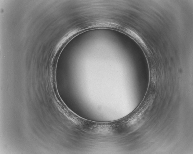 X0000060741043200511141128