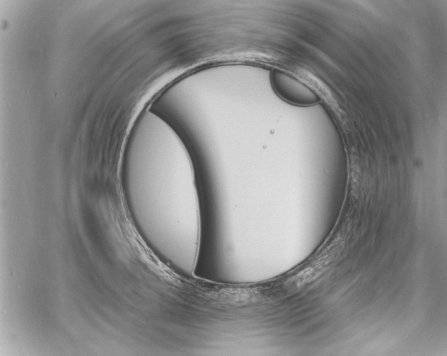 X0000060741044200511141128