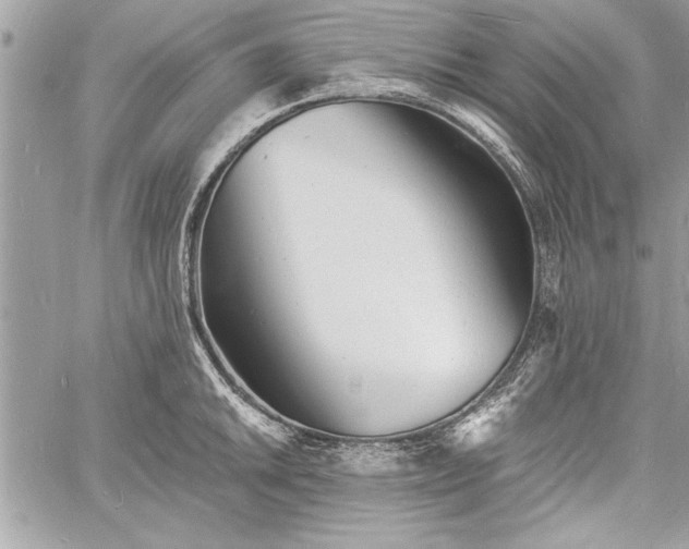 X0000060741046200511141128