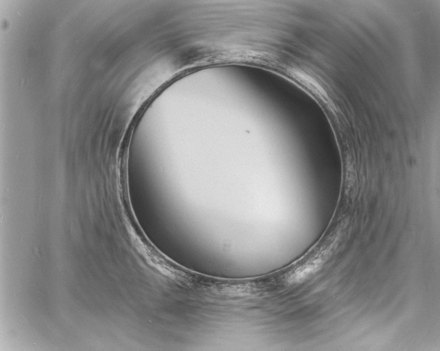 X0000060741047200511141128