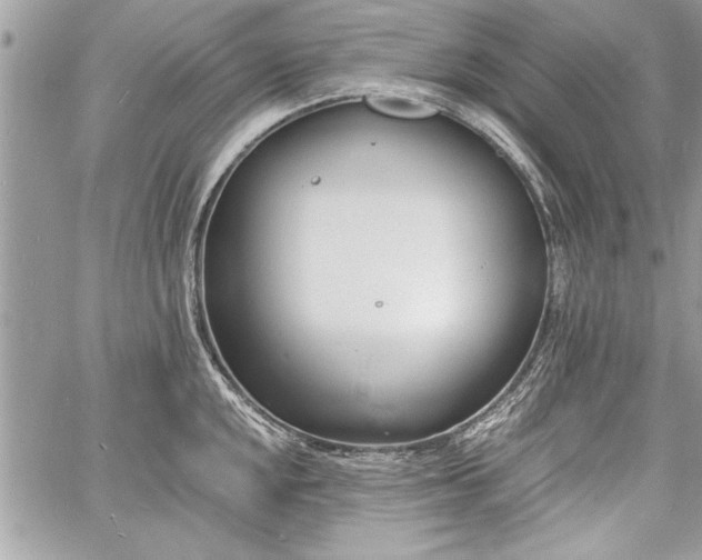 X0000060741048200511141128