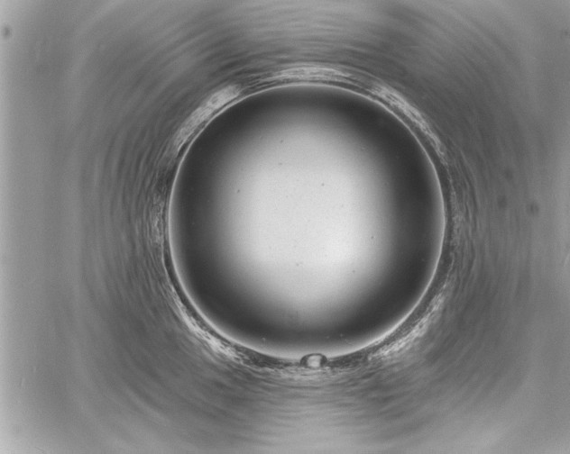 X0000060741049200511141128