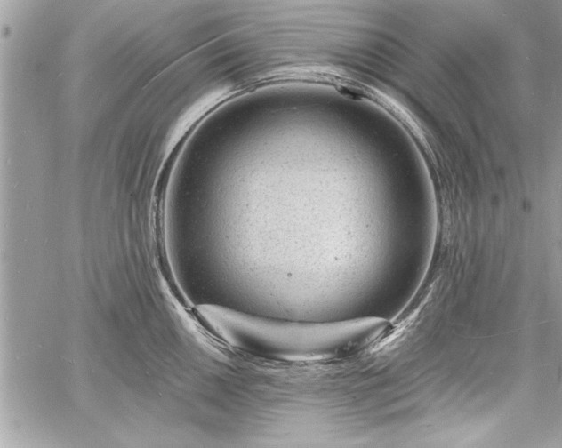 X0000060741050200511141128