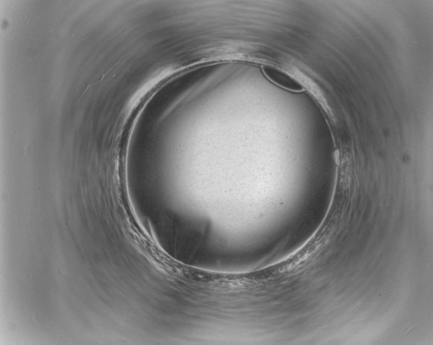 X0000060741051200511141128