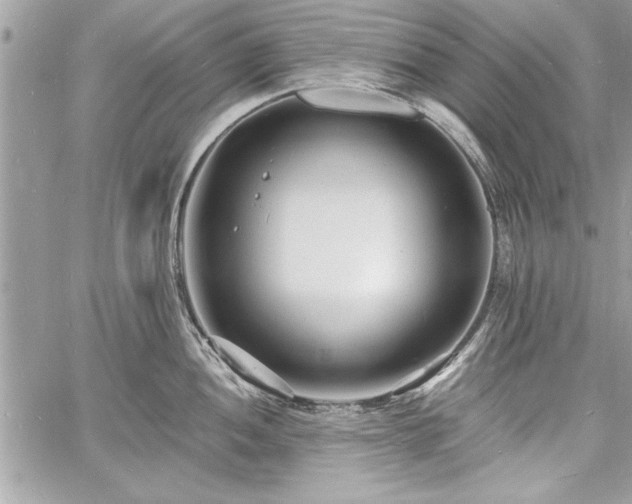 X0000060741052200511141128