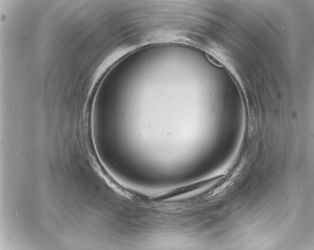 X0000060741053200511141128