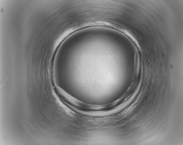 X0000060741054200511141128