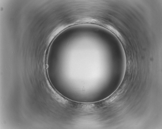 X0000060741055200511141128