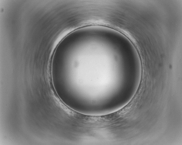 X0000060741056200511141128