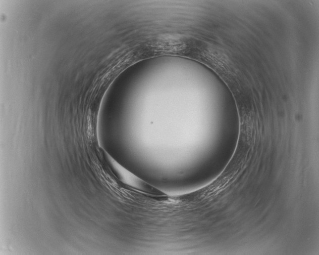 X0000060741058200511141127