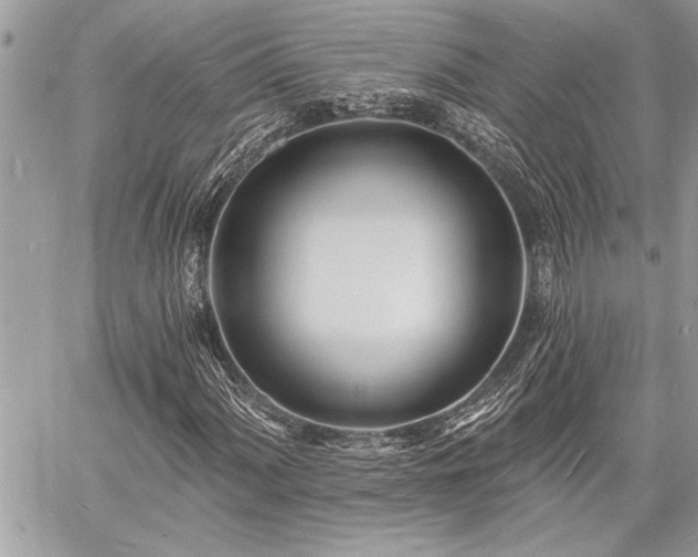 X0000060741060200511141127