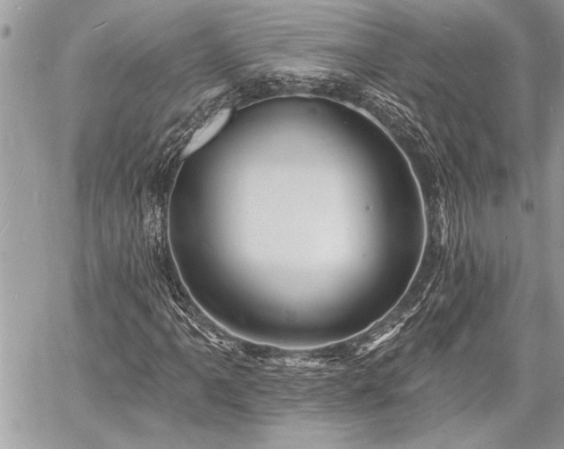 X0000060741061200511141127