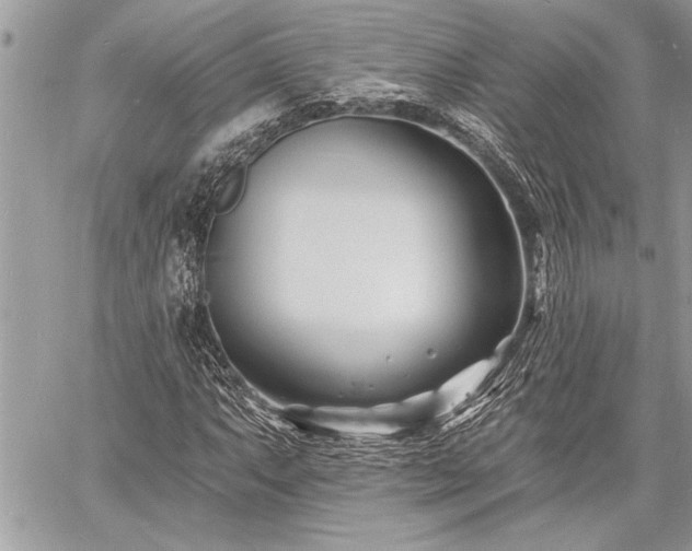 X0000060741063200511141127