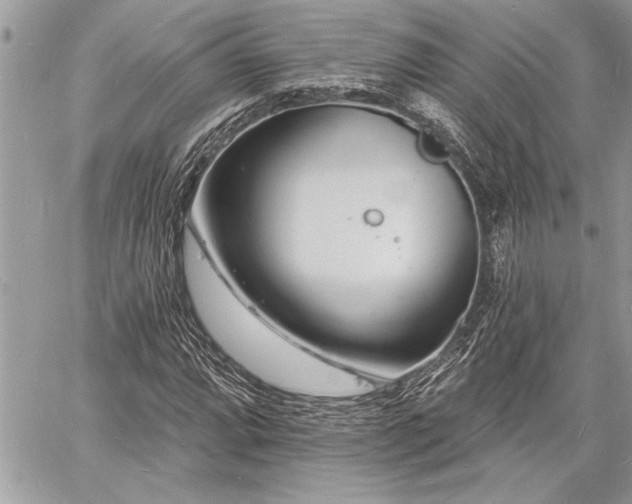 X0000060741064200511141127