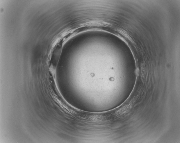 X0000060741067200511141127