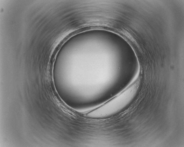 X0000060741068200511141127