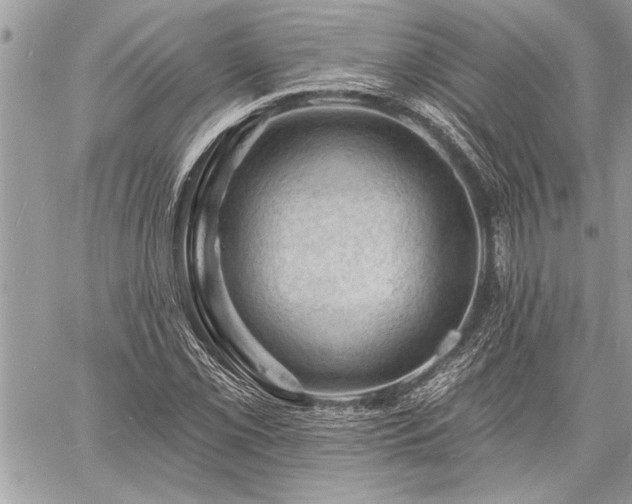 X0000060741069200511141127