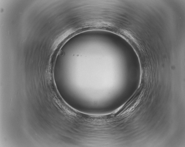 X0000060741071200511141127