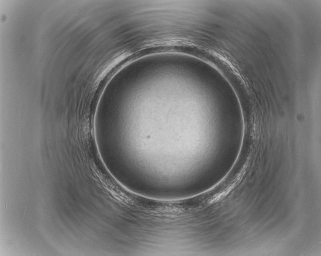 X0000060741073200511141127