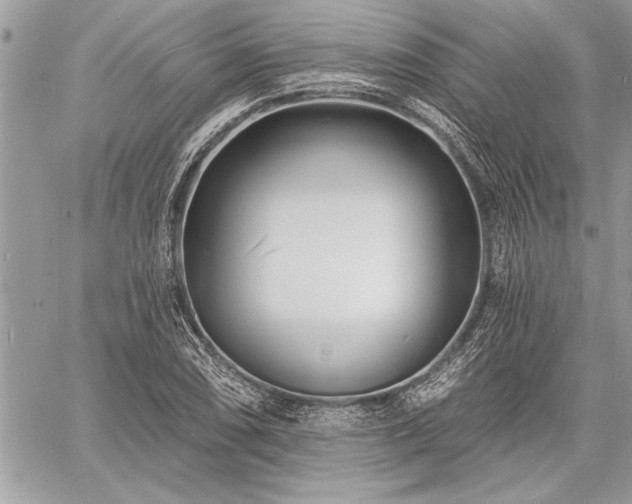 X0000060741074200511141127