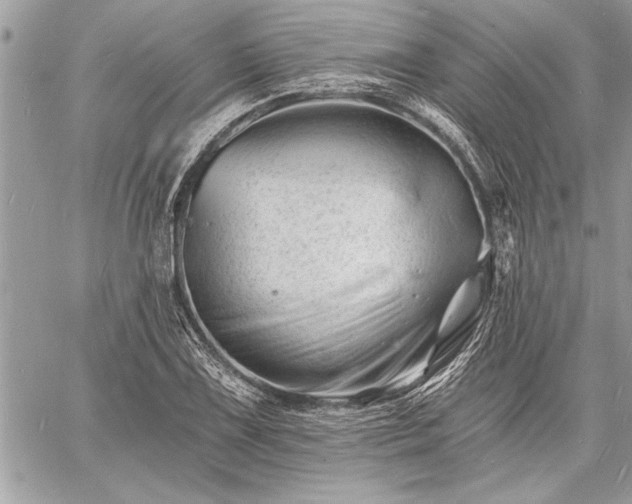 X0000060741075200511141127