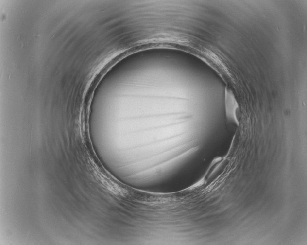 X0000060741076200511141127