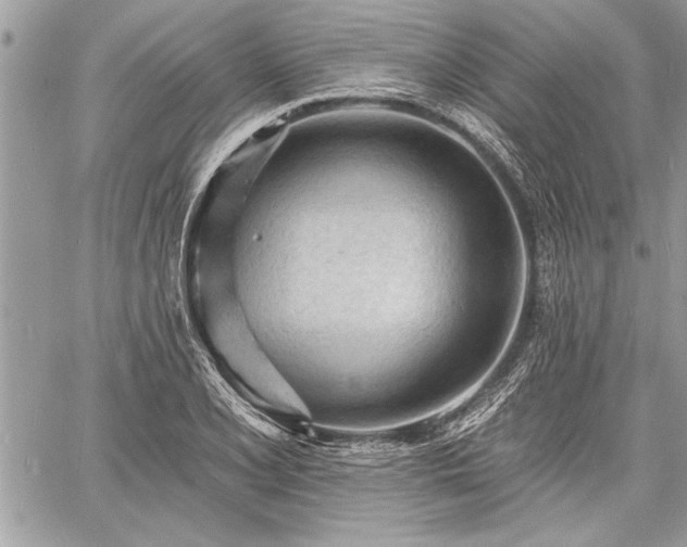 X0000060741077200511141127