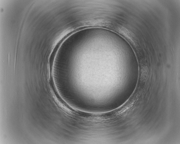 X0000060741079200511141127