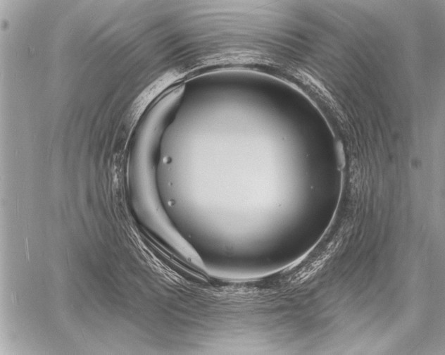 X0000060741081200511141127