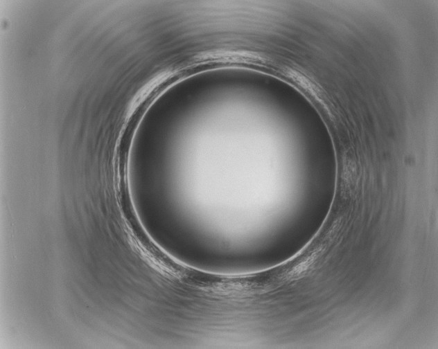 X0000060741082200511141127