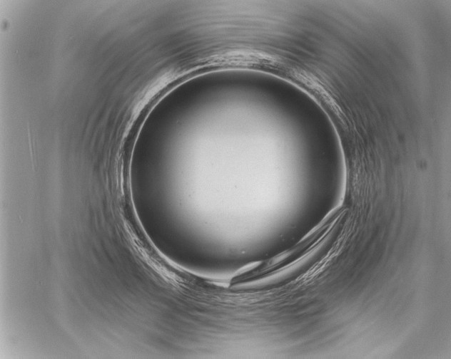 X0000060741083200511141127