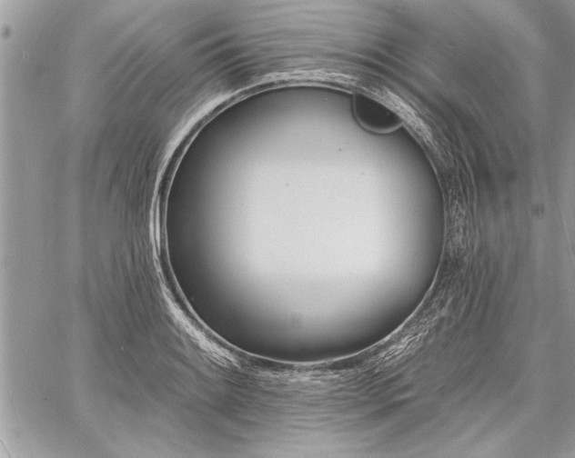 X0000060741084200511141127