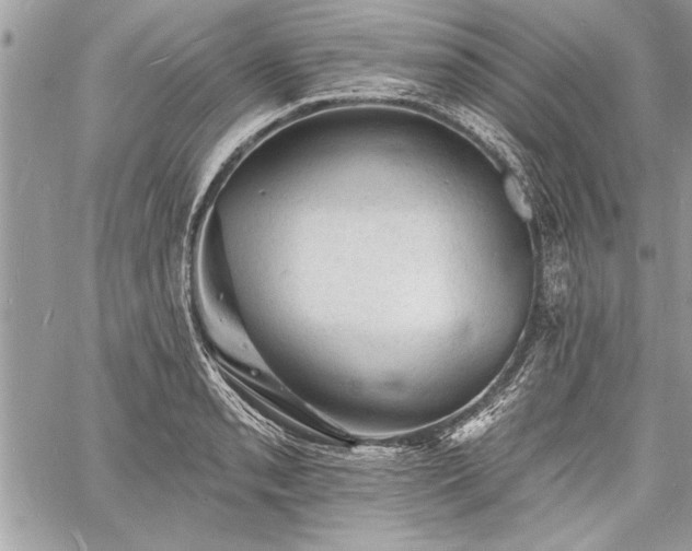 X0000060741085200511141127