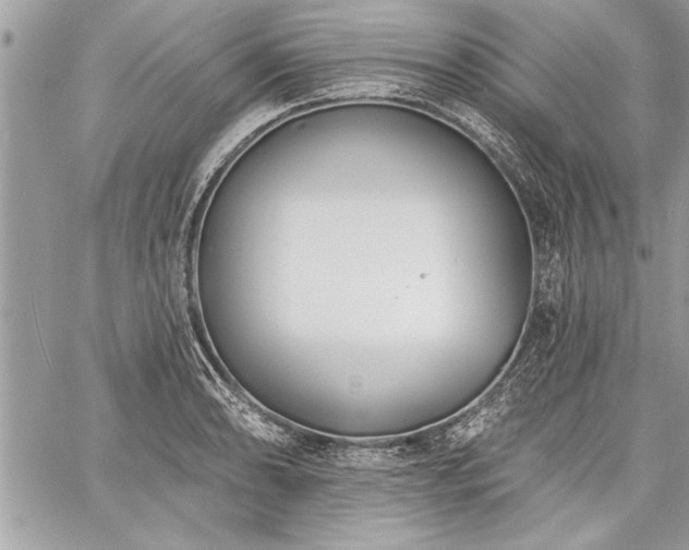 X0000060741086200511141127