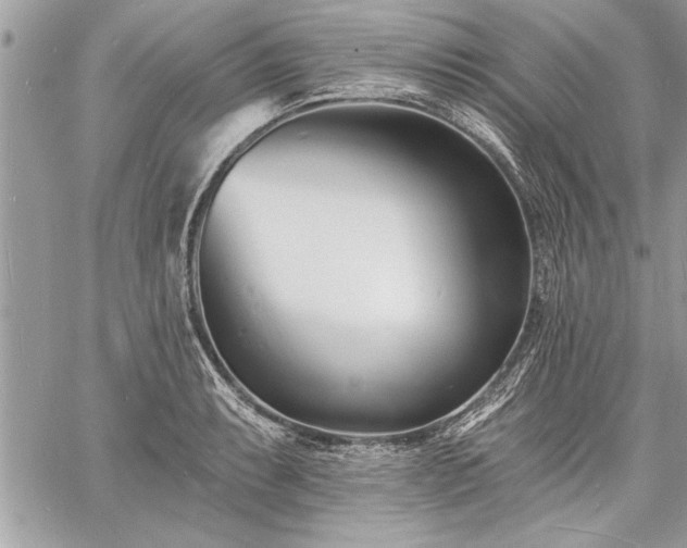 X0000060741087200511141127