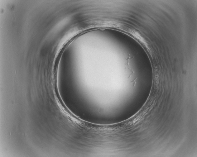 X0000060741088200511141127