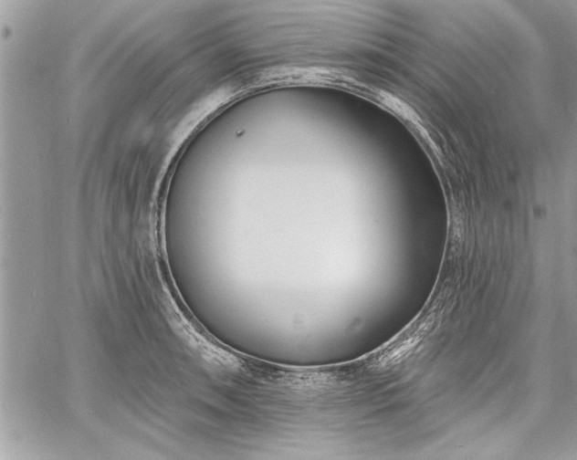 X0000060741090200511141127